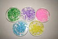 colour silica gel cat litter 2