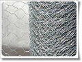 Hexagonal wire mesh