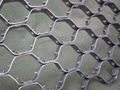 Tortoise Shell Mesh