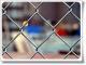 chain link fence