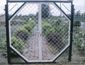 offer welded wire mesh panel 1