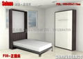 wallbed  murnphy bed 2