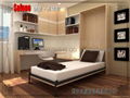 wallbed  murnphy bed 5