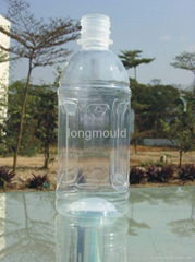 blowing bottle mould