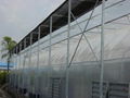 Plastic film Greenhouse 2