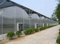 Plastic film Greenhouse 4