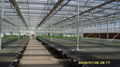 Polycarbonate Sheet Greenhouse 2