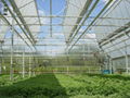 Flower-growing Greenhouse 3