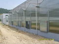 Flower-growing Greenhouse 4