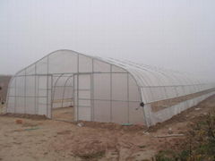 Tunnel Greenhouse