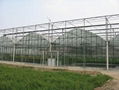 Vegetable-growing Greenhouse 3