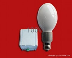 Induction lamp