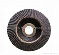 Flap Disc For Stainless Steel 4