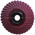 Flap Disc For Stainless Steel 5