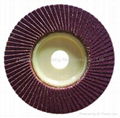 Abrasive Flexible Flap disc 2