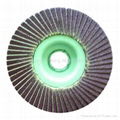 Abrasive Flexible Flap disc 3