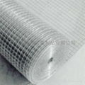 welded wire mesh 2