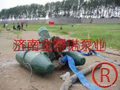 vertical sludge pump