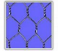 hexagonal wire mesh