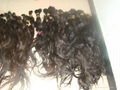 virgin nature human hair 5