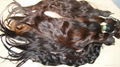 nature color 100% PURE virgin nature hair /nature curly hair. 3