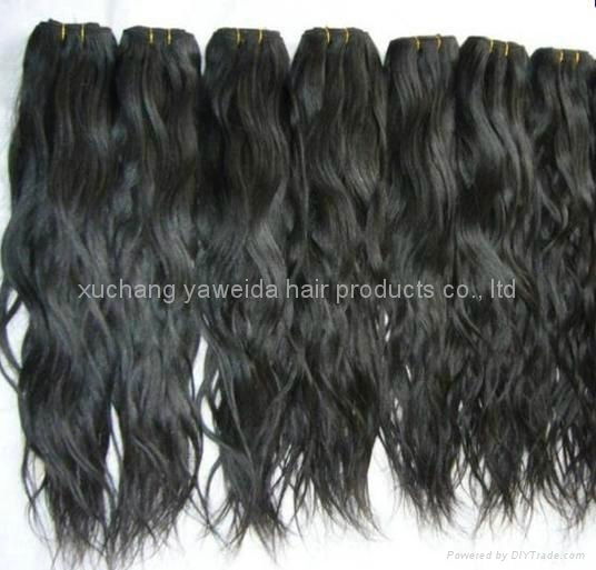 virgin nature indian raw weave/weft hair with full cuticle  2