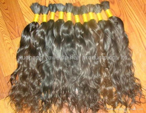 100% remy human hair curly bulk hair with the full cuticle 3