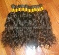 100% remy human hair curly bulk hair with the full cuticle 5