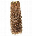 100% remy human curly hair 1