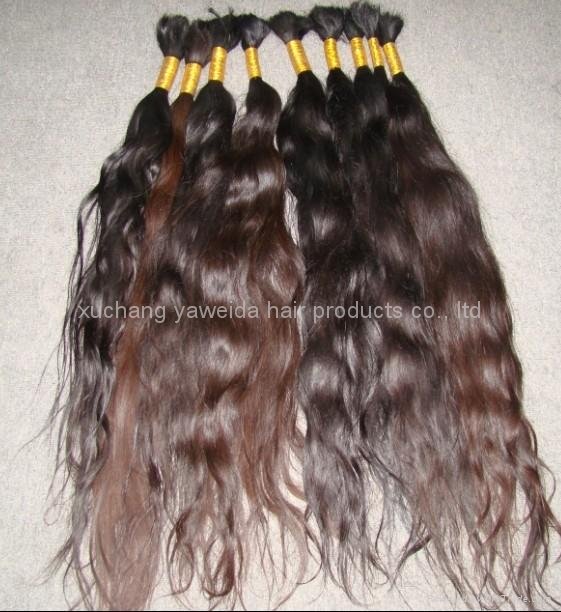 virgin nature braid hair/nature curly hair/natrue bulk hair