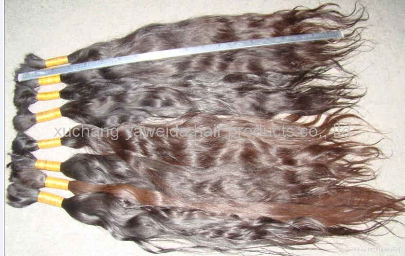 virgin nature braid hair/nature curly hair/natrue bulk hair 2