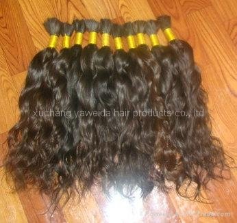 100% remy human hair curly bulk hair with the full cuticle