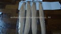 100% remy human hair blond weft hair 1