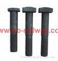 square head bolt 3