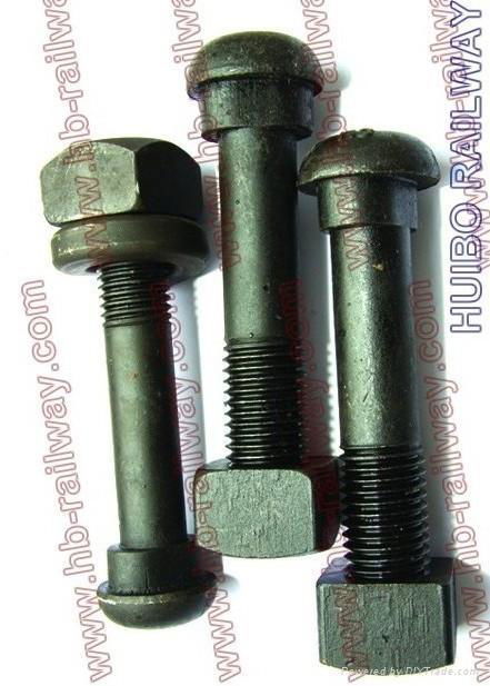 Oval Neck Track Bolts 3