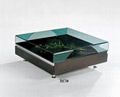 Coffee Table B67 1