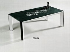 Coffee table B103