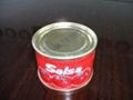 canned tomato paste 70g