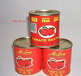 canned tomato paste 198g