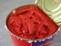 tomato paste in can 1