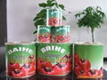 tomato paste 1