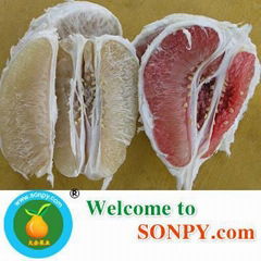 Guanxi Pomelo