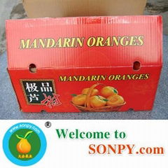 Mandarin Orange