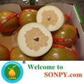 Honey Pomelo 1