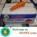 Fresh Carrot 4