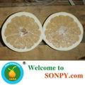 China Pomelo Fruit 3