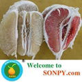 China Pomelo Fruit 5