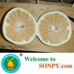 Honey Pomelo