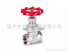 stainless steel gate valve