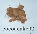 cocoa cake 3